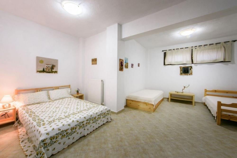 Katevi Luxury Seafront Villa Ierissos Exterior photo